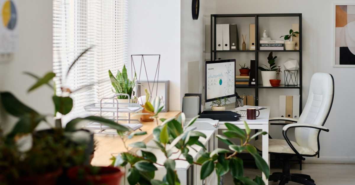 minimal surface with few items boundary organization 